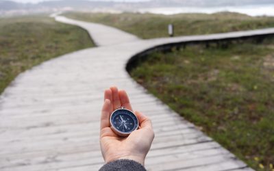 Surrender or Give Up? How to Use Failure as an Alignment Compass