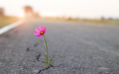 Mature Hope and Chosen Love: Building Inner Resilience When Outcomes Are Uncertain